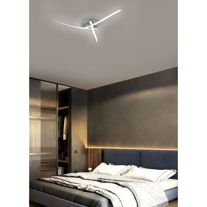 Brilagi - LED-kattovalaisin STRIPES LED/24W/230V hopea