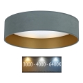Brilagi - LED Kattovalaisin VELVET LED/12W/230V d. 30 cm 3000K/4000K/6400K minttu/kulta