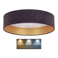 Brilagi - LED Kattovalaisin VELVET STAR LED/24W/230V d. 40 cm 3000K/4000K/6400K harmaa/kulta