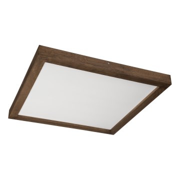 Brilagi - LED Kattovalaisin WOODY FRAME LED/50W/230V 60x60 cm IP44 pähkinä