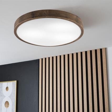 Brilagi - LED Kattovalo CARVALHO SLIM 3xE27/60W/230V tammi halkaisija 47 cm