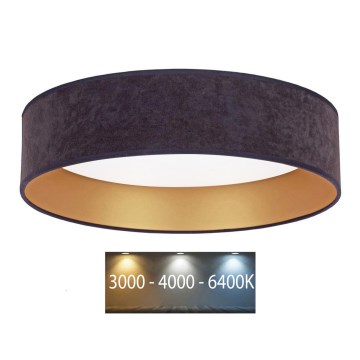Brilagi - LED-kattovalo VELVET LED/24W/230V d. 40 cm 3000/4000/6400K harmaa/kulta
