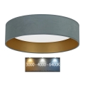 Brilagi - LED-kattovalo VELVET LED/24W/230V halk 40cm 3000/4000/6400K minttu/kulta