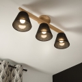 Brilagi - LED  Kiinteä kattokruunu ANTHONY 3xE14/40W/230V tammi/musta
