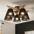 Brilagi - LED  Kiinteä kattokruunu ANTHONY 5xE14/40W/230V tammi/musta