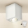 Brilagi - LED Kohdevalo MIA 1xGU10/30W/230V 100x80 mm valkoinen
