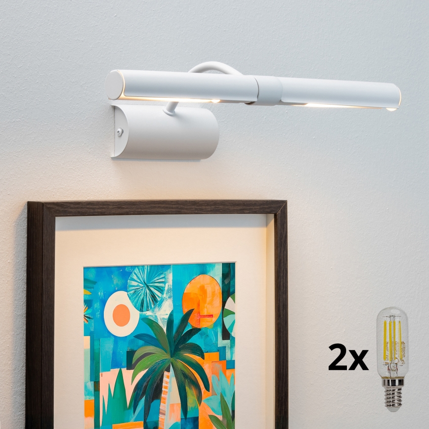 Brilagi - LED-kuvavalo DANAE 2xE14/4W/230V 3000K valkoinen