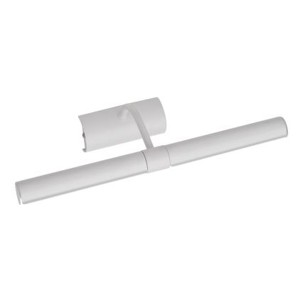 Brilagi - LED-kuvavalo DANAE 2xE14/4W/230V 3000K valkoinen