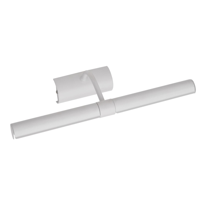 Brilagi - LED-kuvavalo DANAE 2xE14/4W/230V 3000K valkoinen