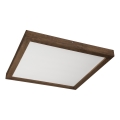 Brilagi - LED Kylpyhuoneen kattovalaisin WOODY FRAME LED/40W/230V 60x60 cm IP44 pähkinä