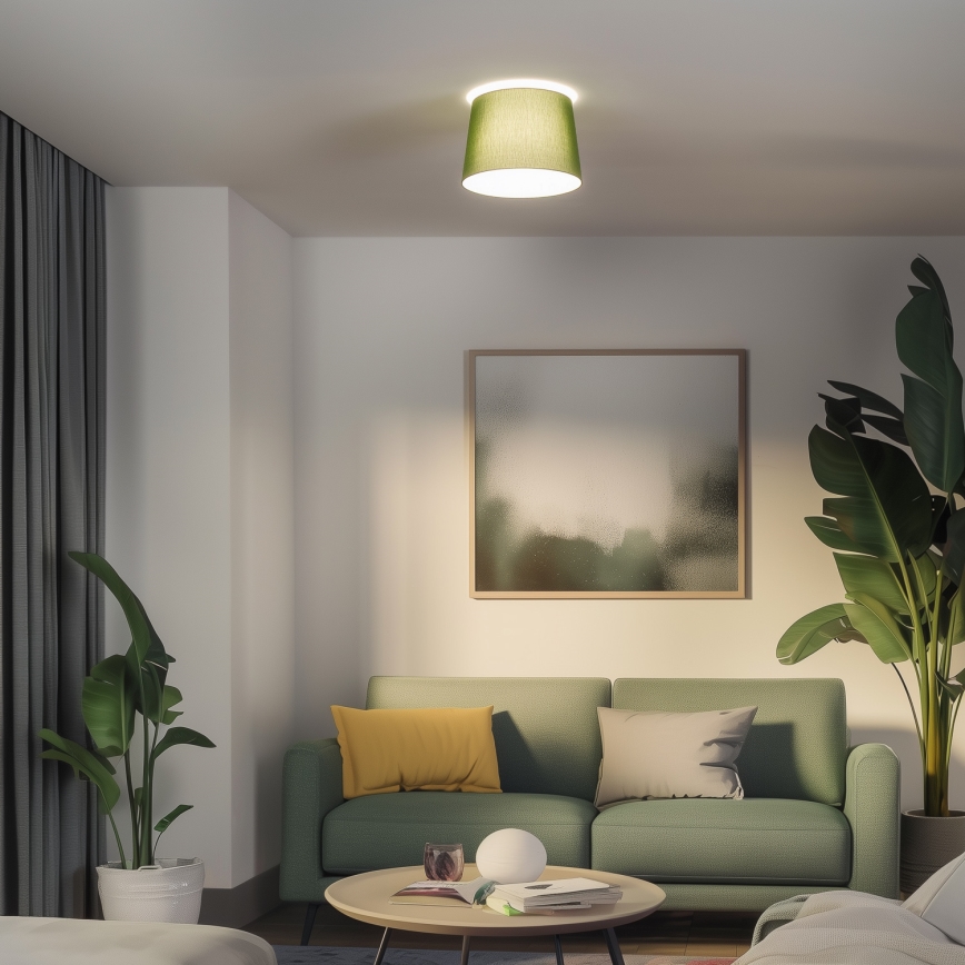 Brilagi - LED-pinta-asennettava kattovalaisin CERIA 1xE27/40W/230V Ø 30 cm vihreä