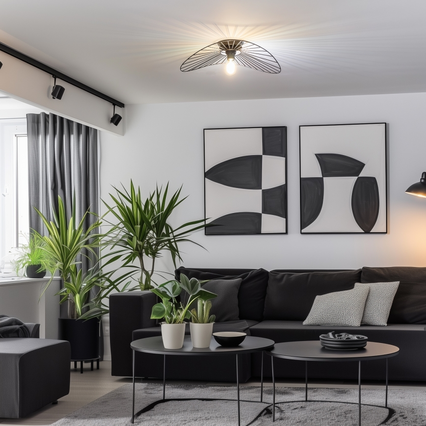 Brilagi - LED-pinta-asennettava kattovalaisin CERIA WIRE 1xE27/40W/230V 40x56 cm musta