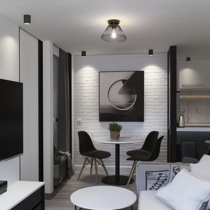 Brilagi - LED-pinta-asennettava kattovalaisin CERIA WIRE 1xE27/40W/230V, Ø 30 cm, musta