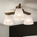 Brilagi - LED Pinta kattovalaisin ANTHONY 3xE14/40W/230V tammi-pähkinä/valkoinen
