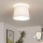 Brilagi - LED-pintakiinnitteinen kattovalaisin CERIA 1xE27/40W/230V halkaisija 30 cm valkoinen