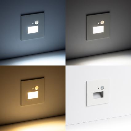 Brilagi - Portaiden LED-valaisin liike- ja hämärätunnistimella JACK LED/1,5W/230V 3000/4000/6500K valkoinen