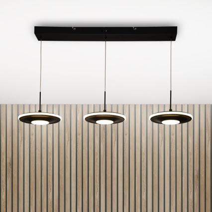 Brilagi - LED-riippuvalaisin VERANO ripustuskaapelilla 3xLED/15W/230V