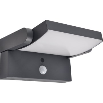 Brilagi - LED-seinäaurinkovalaisin anturilla ANKLE LED/10W/3,7V 4000K IP65 antrasiitti