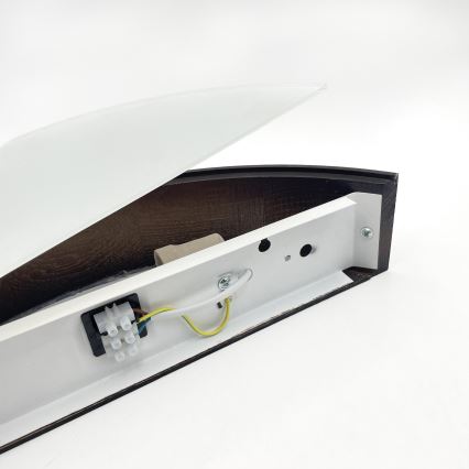 Brilagi - LED-seinävalaisin CARVALHO SMOKEY 1xE27/60W/230V tammi