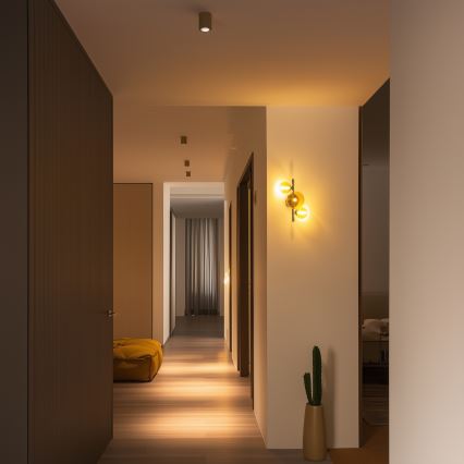 Brilagi - LED-seinävalaisin MILLA 3xG9/3W/230V kiiltävä kromi/kulta