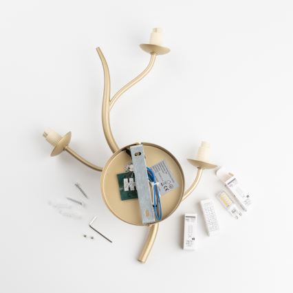 Brilagi - LED-seinävalaisin MISTEL 3xG9/3W/230V kulta/valkoinen