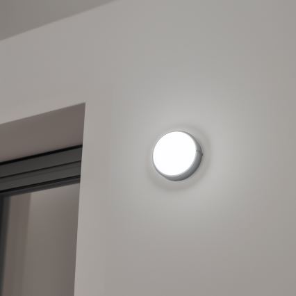 Brilagi - LED-teollisuuskattovalaisin SIMA LED/12W/230V IP65 musta
