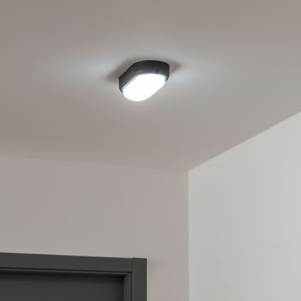 Brilagi - LED-teollisuuskattovalaisin SIMA LED/12W/230V IP65 musta