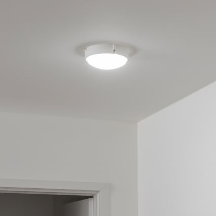 Brilagi - LED-teollisuuskattovalaisin SIMA LED/12W/230V IP65 valkoinen
