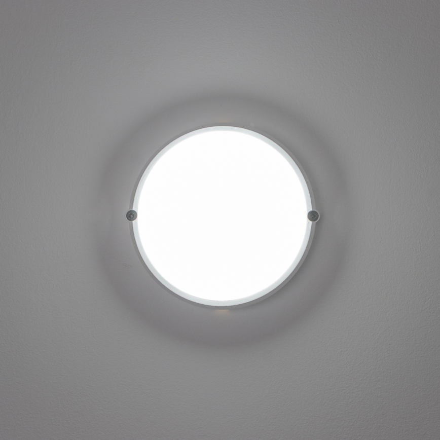 Brilagi - LED-teollisuuskattovalaisin SIMA LED/12W/230V IP65 valkoinen