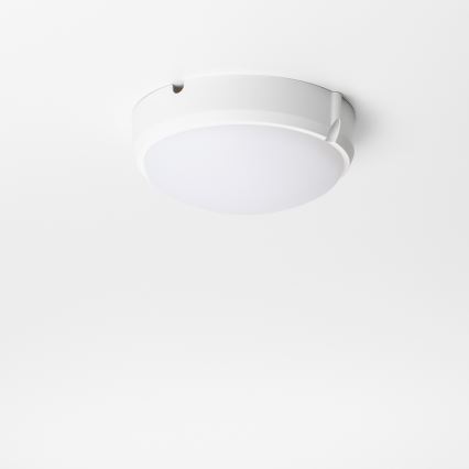Brilagi - LED-teollisuuskattovalaisin SIMA LED/12W/230V IP65 valkoinen