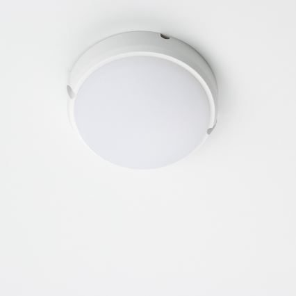 Brilagi - LED-teollisuuskattovalaisin SIMA LED/12W/230V IP65 valkoinen