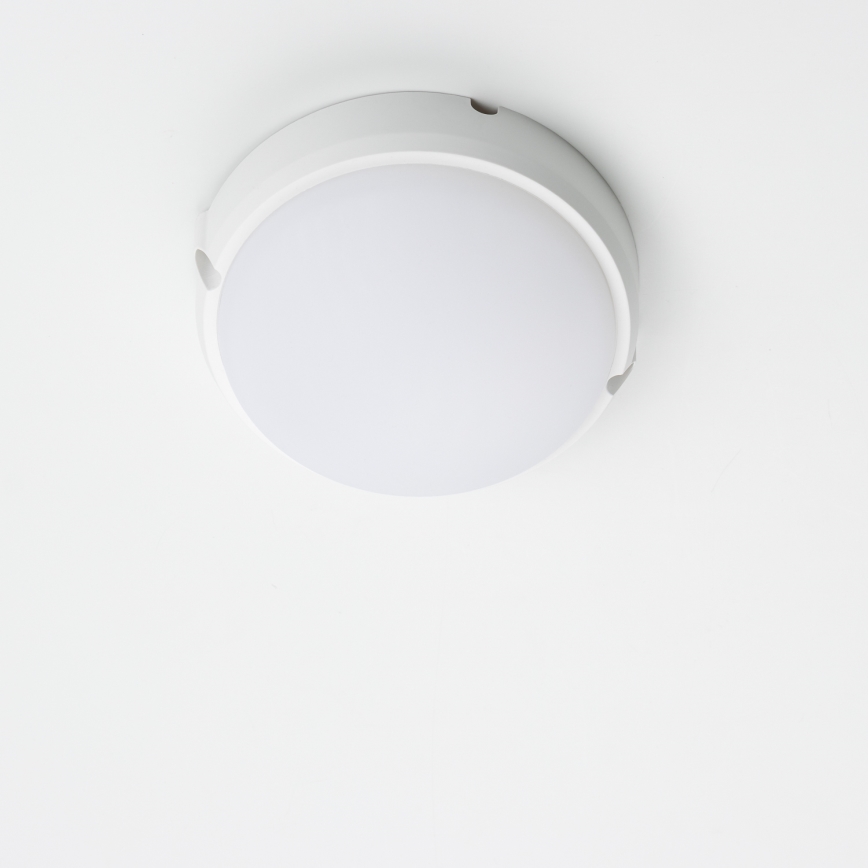 Brilagi - LED-teollisuuskattovalaisin SIMA LED/12W/230V IP65 valkoinen