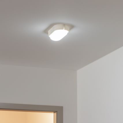 Brilagi - LED-teollisuuskattovalaisin SIMA LED/12W/230V IP65 valkoinen
