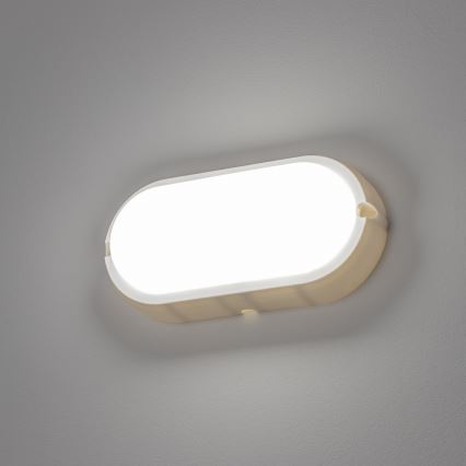 Brilagi - LED-teollisuuskattovalaisin SIMA LED/12W/230V IP65 valkoinen