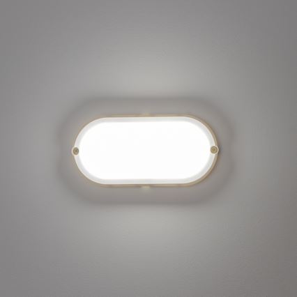 Brilagi - LED-teollisuuskattovalaisin SIMA LED/12W/230V IP65 valkoinen