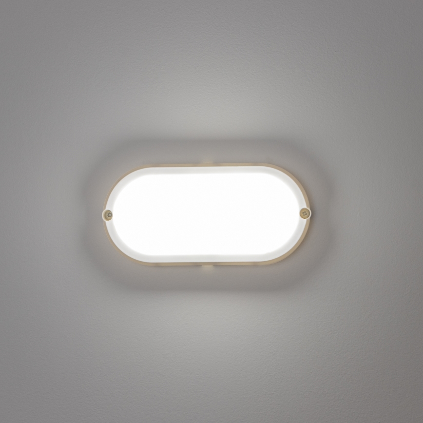 Brilagi - LED-teollisuuskattovalaisin SIMA LED/12W/230V IP65 valkoinen
