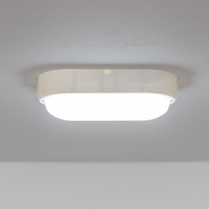 Brilagi - LED-teollisuuskattovalaisin SIMA LED/12W/230V IP65 valkoinen