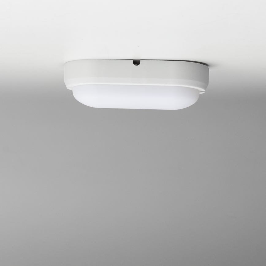 Brilagi - LED-teollisuuskattovalaisin SIMA LED/12W/230V IP65 valkoinen