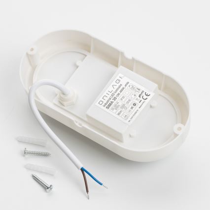 Brilagi - LED-teollisuuskattovalaisin SIMA LED/12W/230V IP65 valkoinen