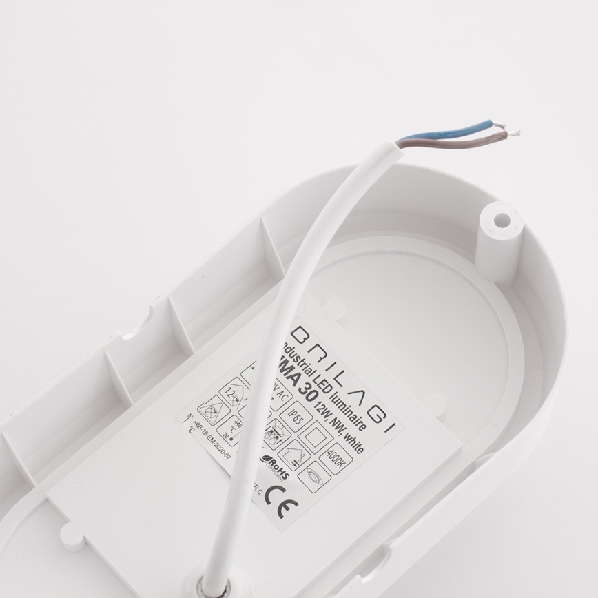 Brilagi - LED-teollisuuskattovalaisin SIMA LED/12W/230V IP65 valkoinen