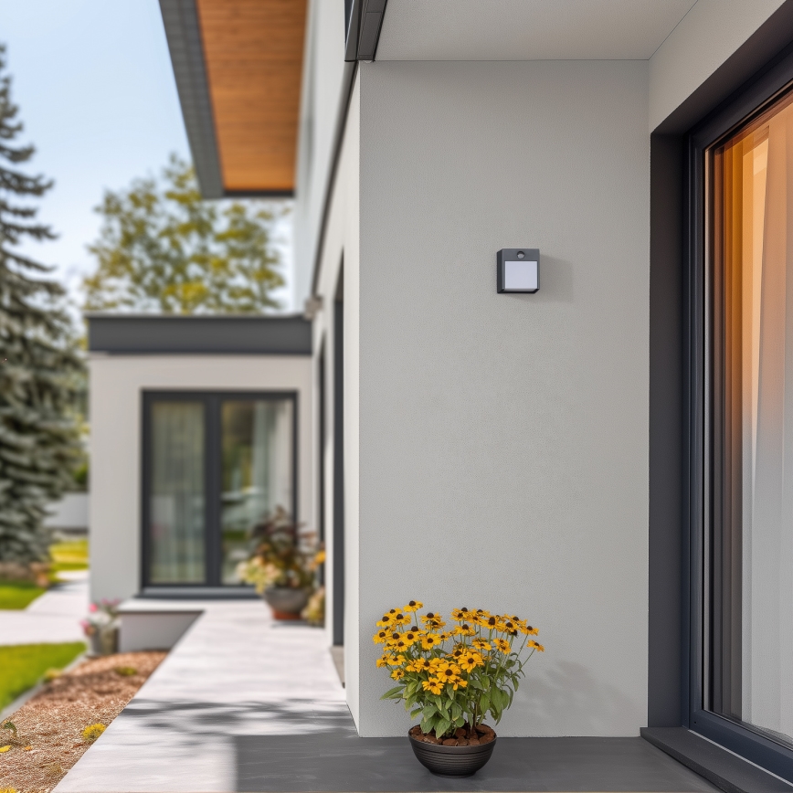 Brilagi - LED-ulkovaloseinävalaisin liiketunnistimella TERNI LED/12W/230V antrasiitti IP44