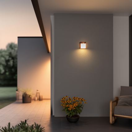 Brilagi - LED-ulkovaloseinävalaisin liiketunnistimella TERNI LED/12W/230V antrasiitti IP44