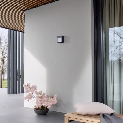 Brilagi - LED-ulkovaloseinävalaisin liiketunnistimella TERNI LED/12W/230V antrasiitti IP44