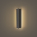 Brilagi - LED-ulko-seinävalaisin LINEAR LED/8W/230V 3000K IP65 30 cm antrasiitti