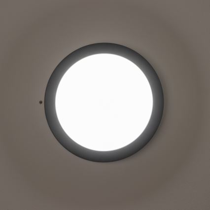 Brilagi - LED-ulkokattovalaisin LED/13W/230V halkaisija 17 cm IP54 antrasiitti