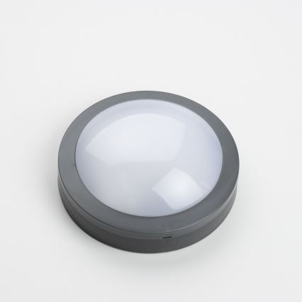 Brilagi - LED-ulkokattovalaisin LED/13W/230V halkaisija 17 cm IP54 antrasiitti