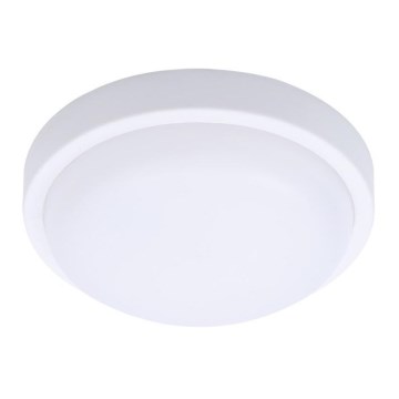 Brilagi - LED-ulkokattovalaisin LED/13W/230V halkaisija 17 cm IP54