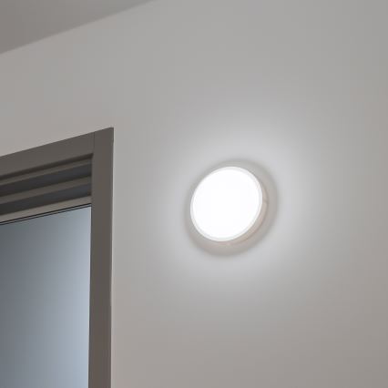 Brilagi - LED-ulkokattovalaisin LED/13W/230V halkaisija 17 cm IP54
