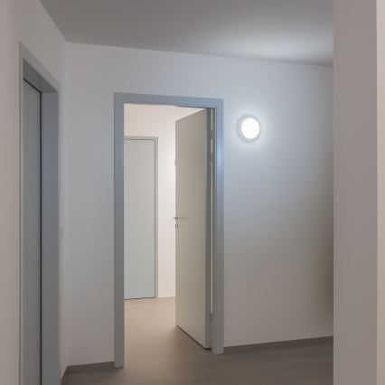 Brilagi - LED-ulkokattovalaisin LED/13W/230V halkaisija 17 cm IP54