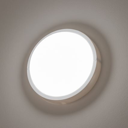 Brilagi - LED-ulkokattovalaisin LED/13W/230V halkaisija 17 cm IP54